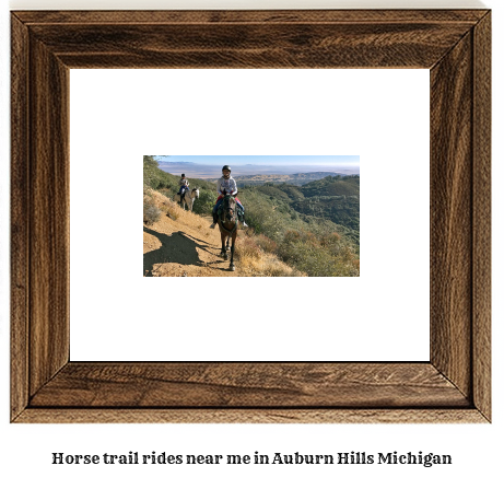 horse trail rides near me in Auburn Hills, Michigan